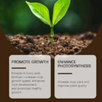 Moonspry Soil Activator Soil Loosening Agent Nutrient for Preventing Hardening Promote Rooting Garden Fruits Vegetables Plants - Image 3