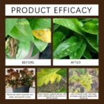 Moonspry Soil Activator Soil Loosening Agent Nutrient for Preventing Hardening Promote Rooting Garden Fruits Vegetables Plants - Image 4