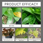 MoonSpry Powerful Soil Activator Garden Flower Plant Fertilizer Loosen Soil Supplement Nutrient Strengthen Root Boost Healthy - Image 5